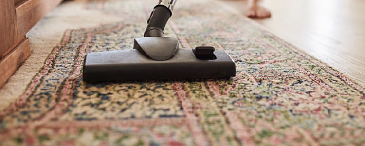 rug cleaning ballarat